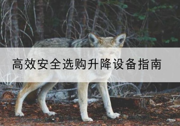 安泽升降货梯厂家推荐-*安全选购升降设备指南