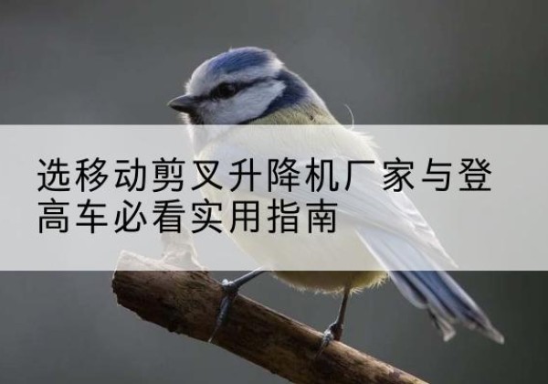 安泽电动升降机厂家-选移动剪叉升降机厂家与登高车必看实用指南