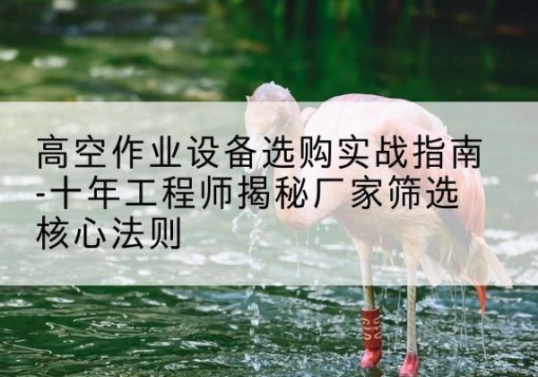 安泽剪叉式升降机厂家-高空作业设备选购实战指南-十年工程师揭秘厂家筛选核心法则